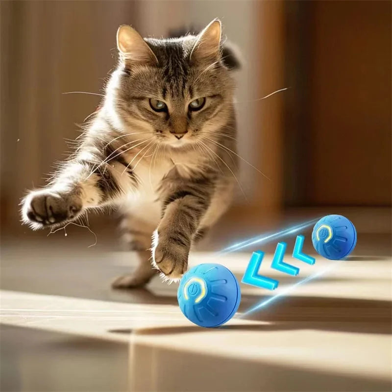 Electronic Pet Moving & Bouncing Ball