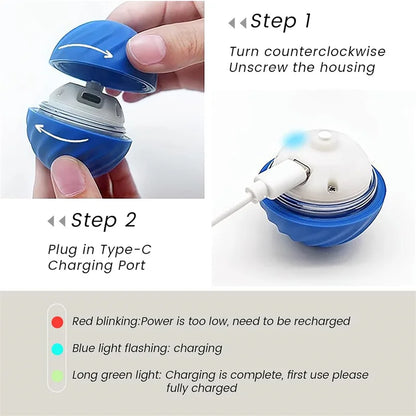 Electronic Pet Moving & Bouncing Ball